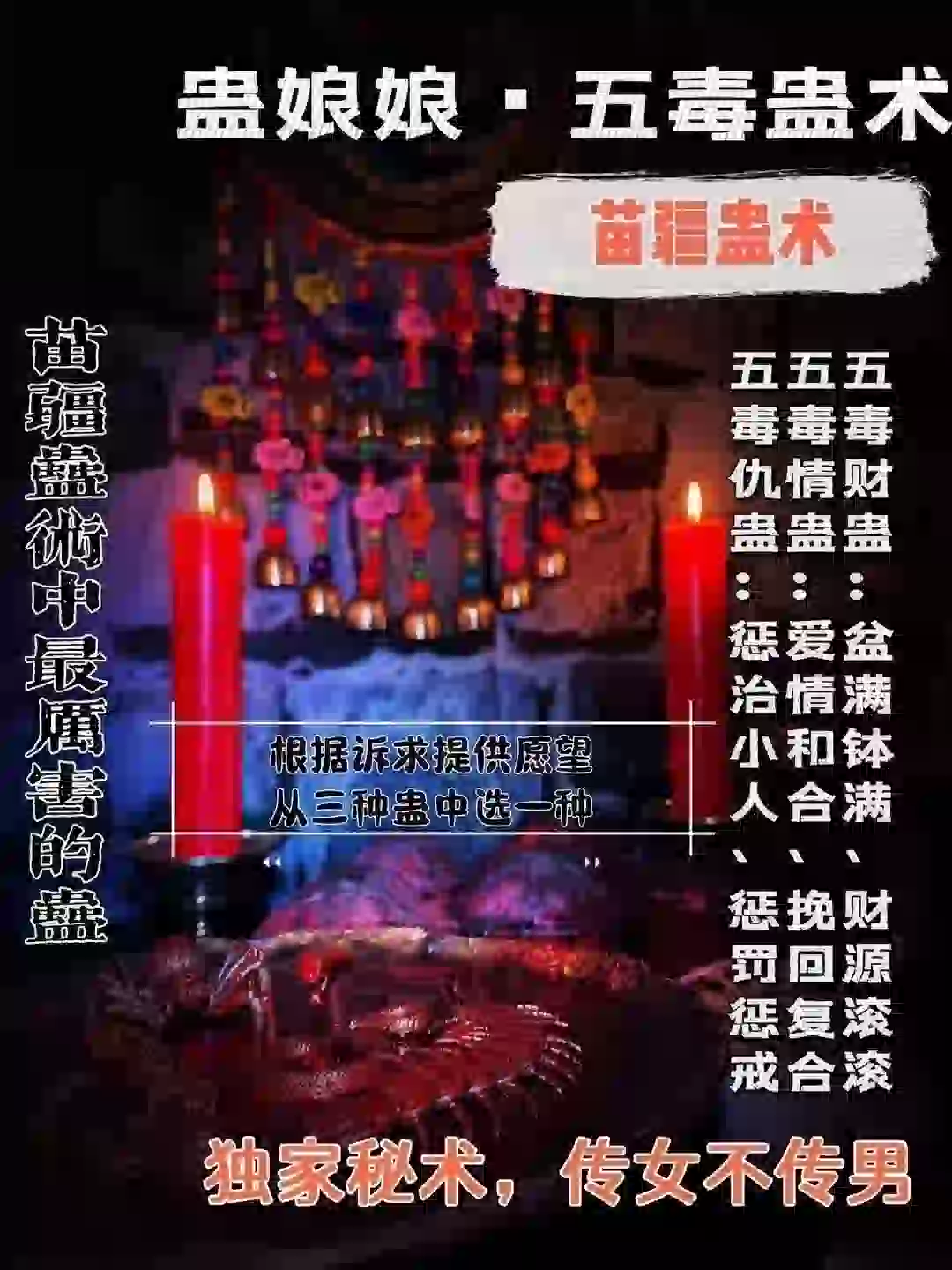 蛊娘娘•五毒蛊术