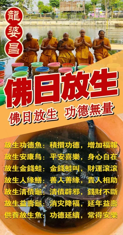 龙婆昌​庙佛日放生
