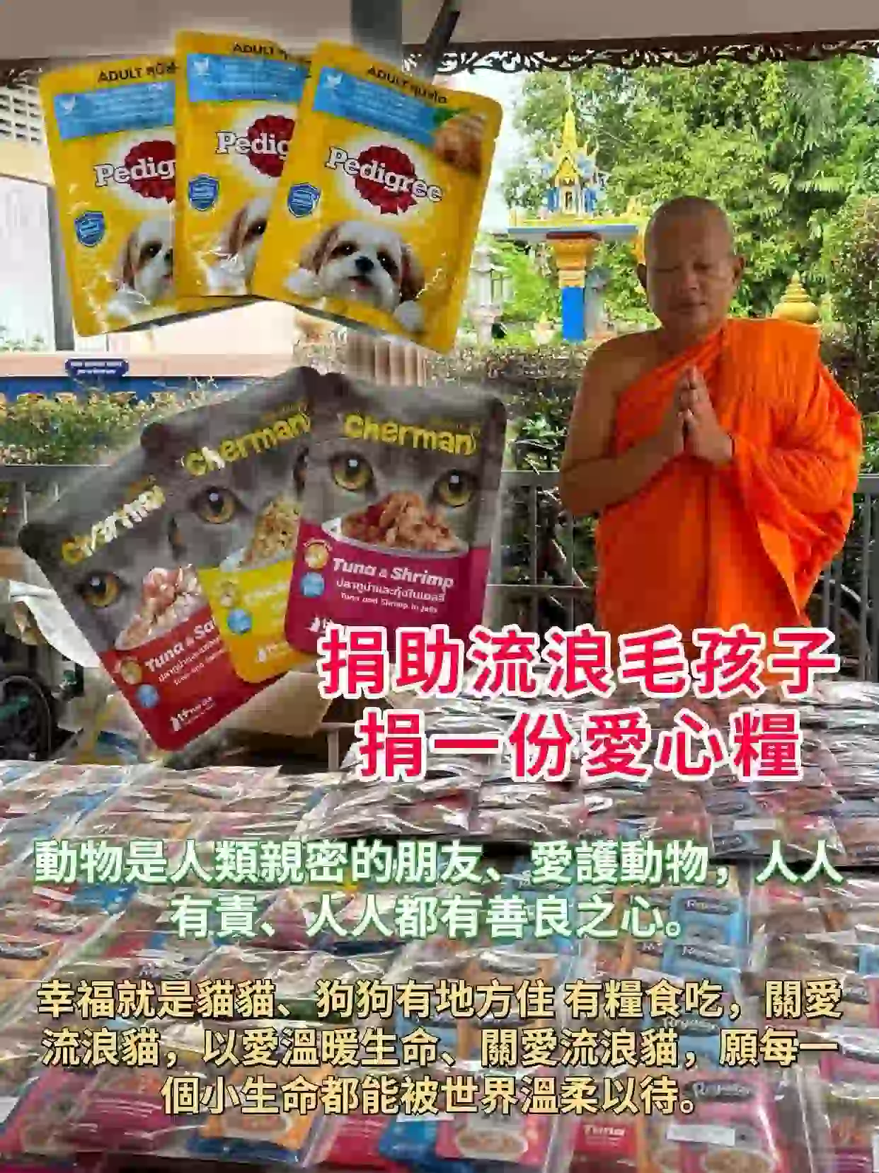 捐赠猫粮和狗粮